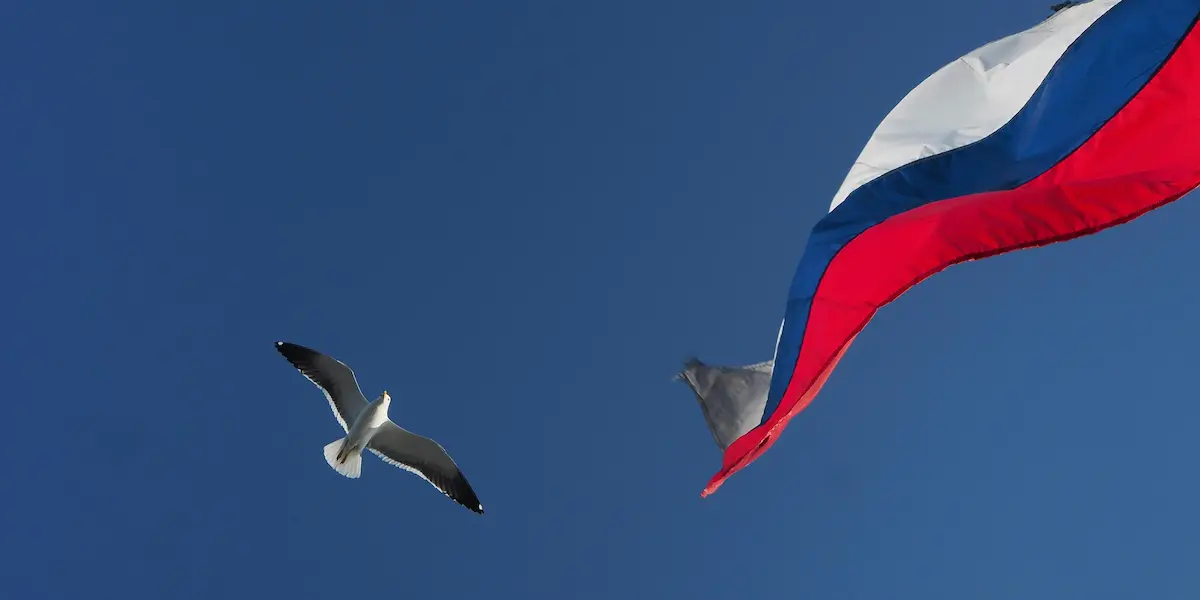 Триколор, концерт на Красной площади и салют — образы Дня России